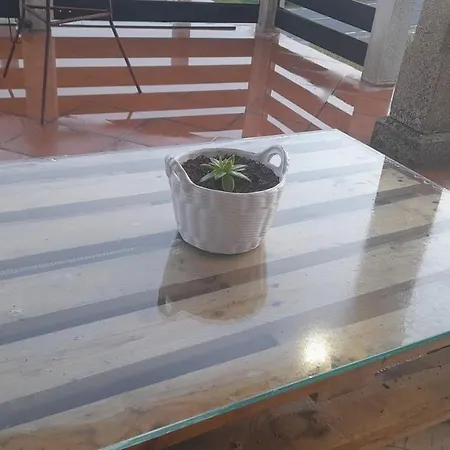 A Casa Do Carocho * Muros