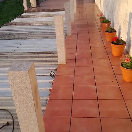 A Casa Do Carocho *